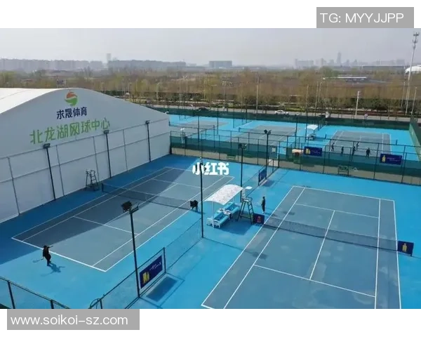 南京网球队在全国锦标赛中的心理素质分析与表现评估